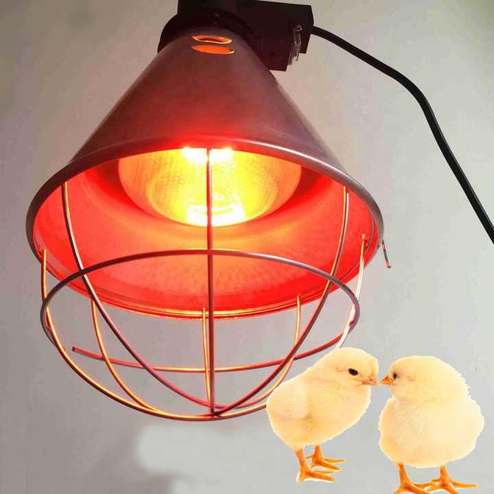 Electric brooder